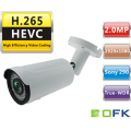 H.265 IMX290 WDR IP CCTV 2mp-Kameras